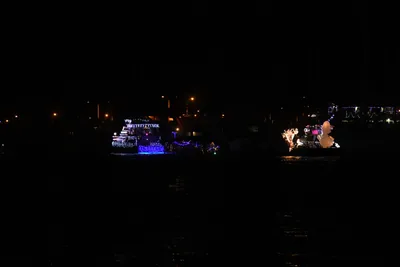 DSC_2508 (Large).JPG